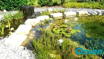Hammes & Kramp Gartengestaltung GmbH - Grevenmacher