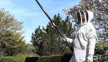 Hygienis : Pest Control & More - Habscht