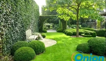 Km Garden - Aménagement extérieur et entretien de parcs & jardins au Luxembourg - Steinfort