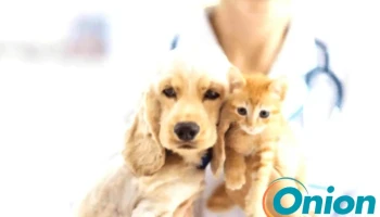 LuxVet - Vétérinaire à domicile - Luxembourg - Rambrouch