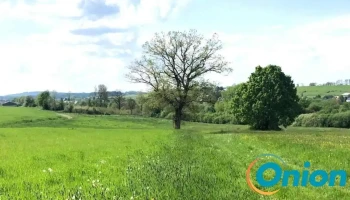 Olivier Zevart, énergétique traditionnelle chinoise (Steinfort et Windhof) - Steinfort