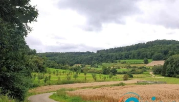 Rollingen - Petingen