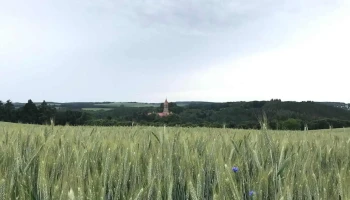 Schoulzenter Reiler - Reuler Clervaux