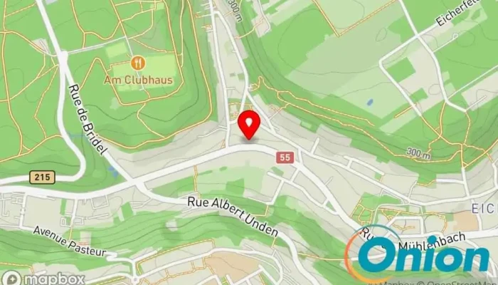 Kaart vun 60 Peintures Maler, Trockenbauunternehmen zu Luxemburg