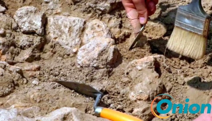Archeo Constructions Sa -  Stonnenplange - Esch An Der Alzette
