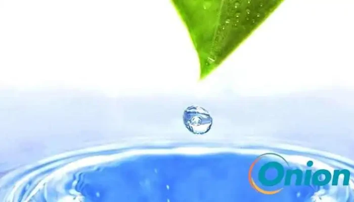 Arrow Ball - Reckingen/Mess