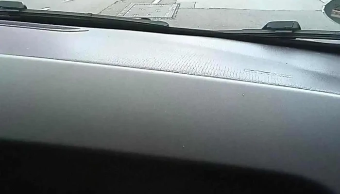 Cactus Ingeldorf -  Videos - Erpeldingen