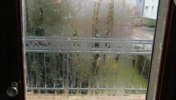 Chl Est -  Vom Inhaber - Luxembourg