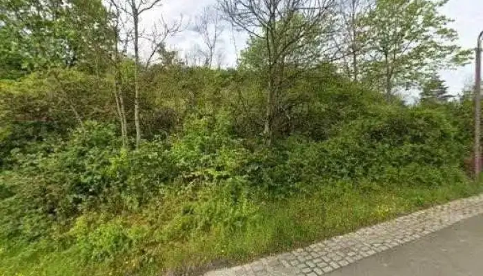 De Grenge Mannchen Sarl   Conception De Jardins Sur Mesure Services De Street View 360deg Fotos - Ernztalgemeinde
