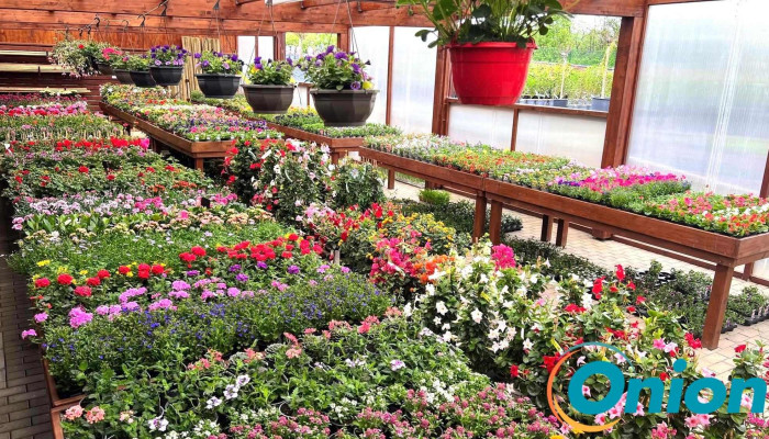 De Grenge Mannchen Sarl   Conception De Jardins Sur Mesure Services De Vom Inhaber - Ernztalgemeinde