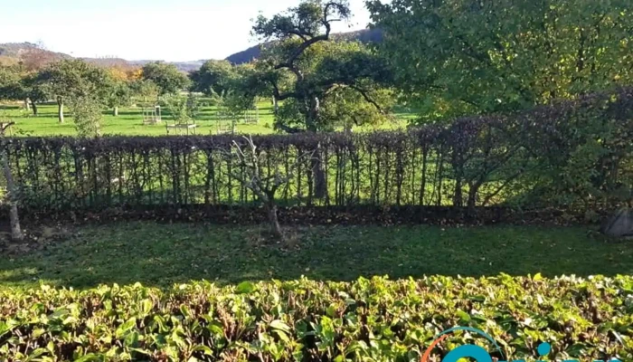 Den Grengen Zweig Sarls Garten - Junglinster