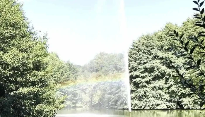 Den Nordpool -  Videos - Colmar-berg