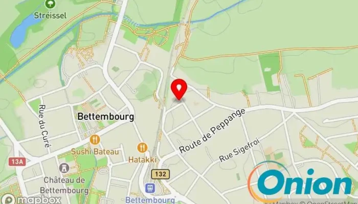 Kaart vun Dz & M Sàrl Erdbauunternehmen zu Bettembourg
