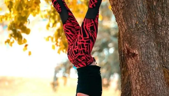 EA-Fit wellness coaching - Luxembourg