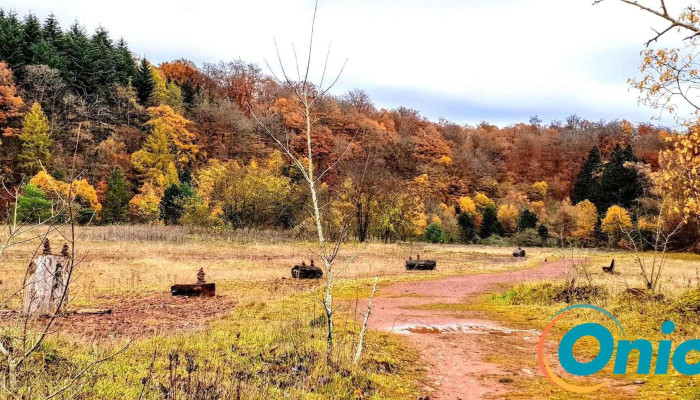 École en Forêt - Waldschoul - Rue Jean-Pierre Bausch