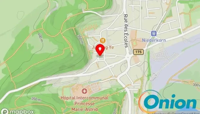 Kaart vun Electrogen Sàrl Anbieter von Sicherheitssystemen zu Differdange