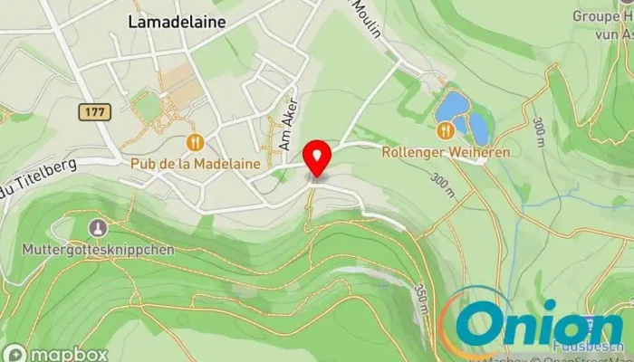 Kaart vun Flore & Sens Sàrl Gartenbauer zu Petingen
