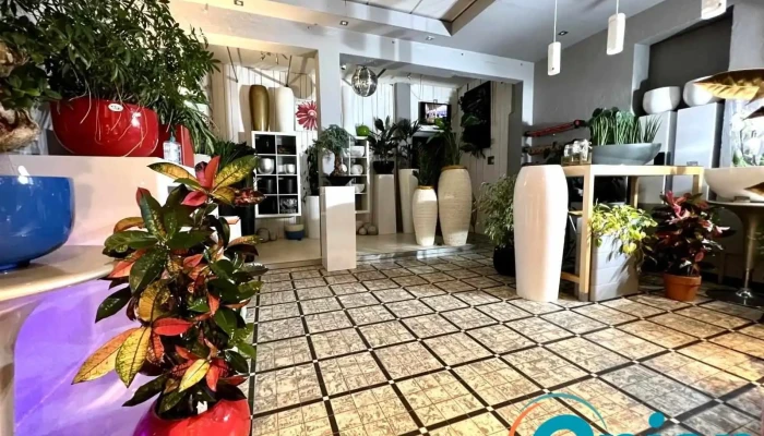 Garden Colonna Sarl Vom Inhaber - Lorentzweiler