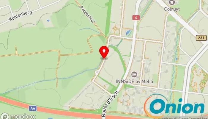 Kaart vun Gartenmann Niklaus Gärtner zu Luxemburg