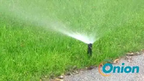Goeller Paysagiste -  Garten - Dudelange