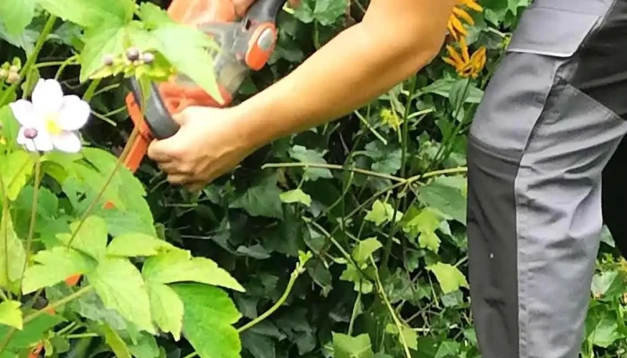 Housegarden Services Garten - Luxemburg