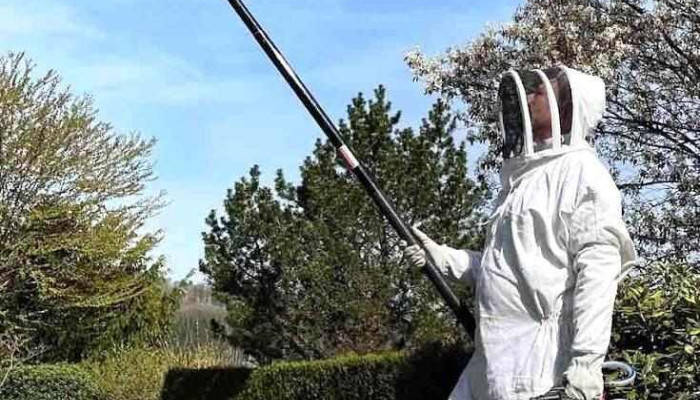 Hygienis : Pest Control & More - Habscht