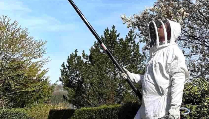 Hygienis Pest Control More Kataloge - Habscht
