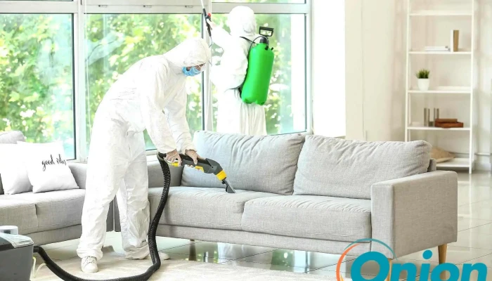 Hygienis Pest Control More Vom Inhaber - Habscht
