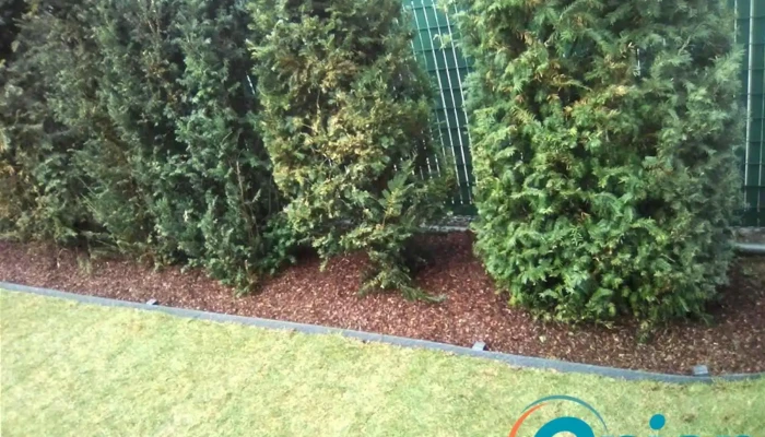Ideal Jardin Garten - Roeser