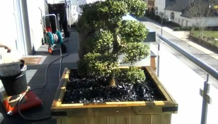 Ideal Jardin Vom Inhaber - Roeser