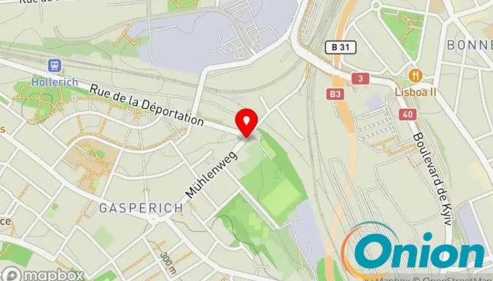 Kaart vun Informatique Computerservice zu Luxemburg