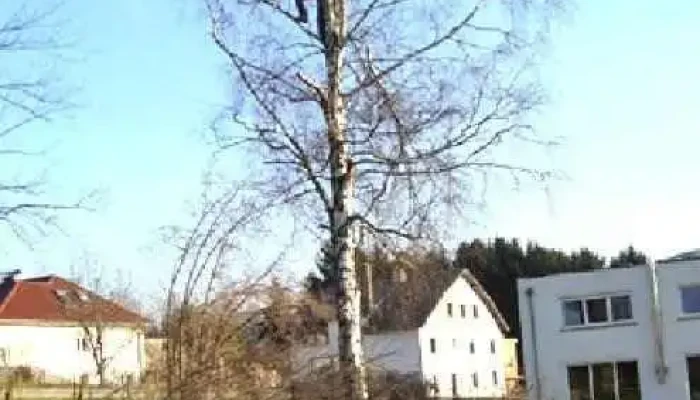 Landschaftsgaertnerei Hilbert -  Vom Inhaber - Mamer