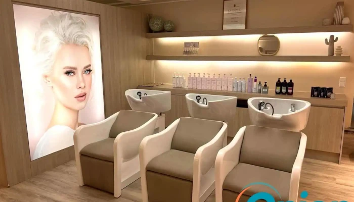 Le Salon Evelyne Gianoli - Olm Kehlen