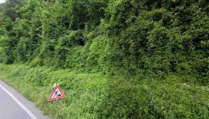 Luxforet Et Jardin Street View 360deg Fotos - Colmar-berg