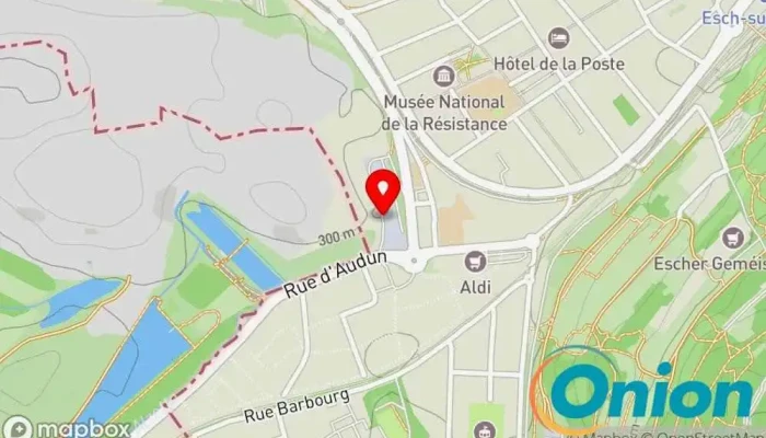 Médecin généraliste Esch sur Alzette , Dr Anne-Marie Boissiere - Luxembourg
