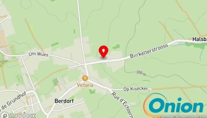 Kaart vun Medical IT-Solutions S.à.r.l. Softwareentwickler/-hersteller, Computersupport und -dienste, Webdesigner zu Berdorf