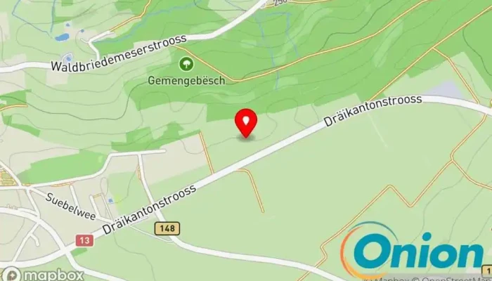Nps Consult s.a. - Luxembourg