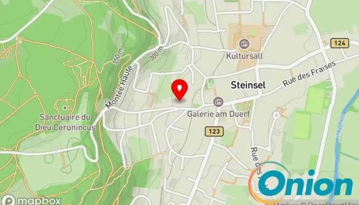 Kaart vun P-MHOLZ Möbeltischler zu Steinsel