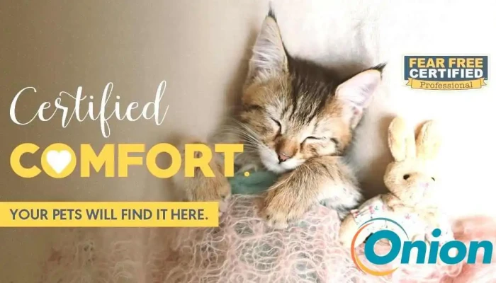 Pallevet Fear Free Vet Hauskatze - Garnich