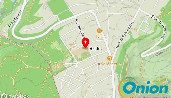 Kaart vun Primary School Bridel Schule zu Kopstal