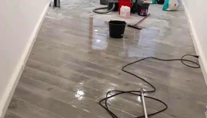 Pro Clean Lux -  Telefone - Petingen