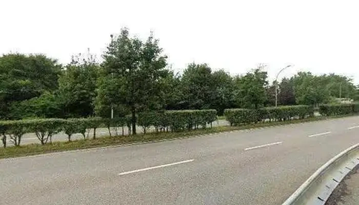 Rcarre Street View 360deg Fotos - Mamer
