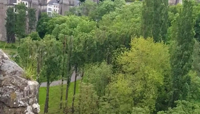 Restaurant Mosconi -  Videos - Luxemburg