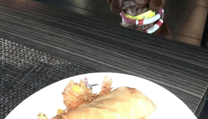 Restaurant Riz Royal -  No Bei Mir - Mamer