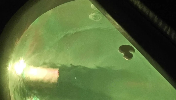 Revexterieur   Magasin De Jacuzzi Spa Spa De Nage Piscine Sauna Hammam   Luxembourg No Bei Mir - Hesperingen