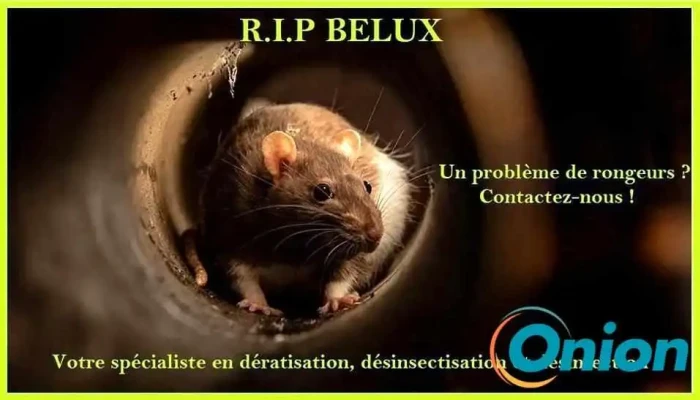 Rip Belux Sarls Ratten - Wiltz