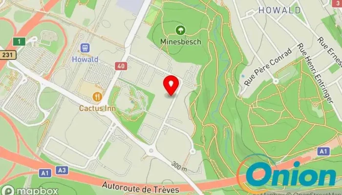 Kaart vun Schiltz Georges Farbenfachgeschäft zu Hesperingen