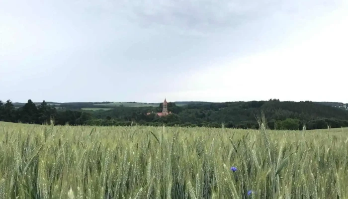 Schoulzenter Reiler - Reuler Clervaux