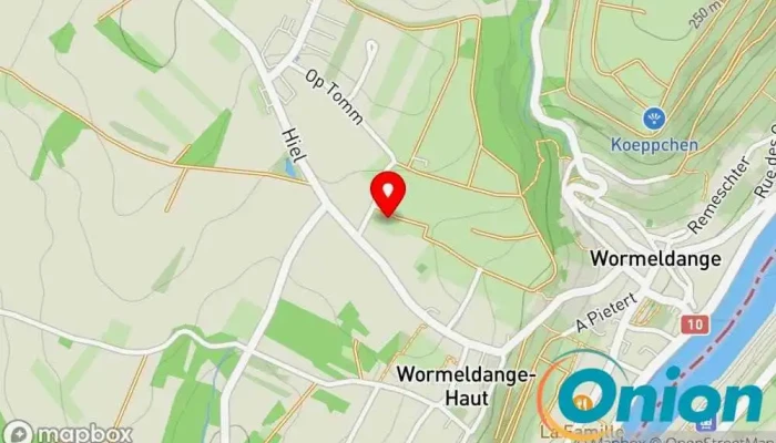 Kaart vun Steffens Sàrl Gärtner, Pavillonanbieter, Landschaftsgestalter, Rasenpflegedienst zu Wormeldingen