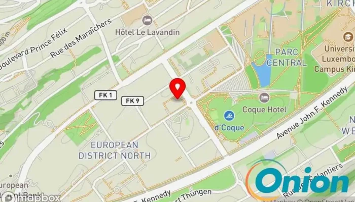 Kaart vun Syndicat des Pharmaciens Luxembourgeois Asbl Vereinigung / Organisation zu Luxemburg